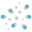 NanoPhoria logo