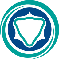 ProVerum Medical logo
