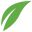 kevin. logo