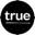 True Ventures logo