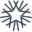 White Star Capital logo